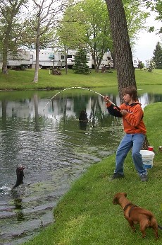 fishdog